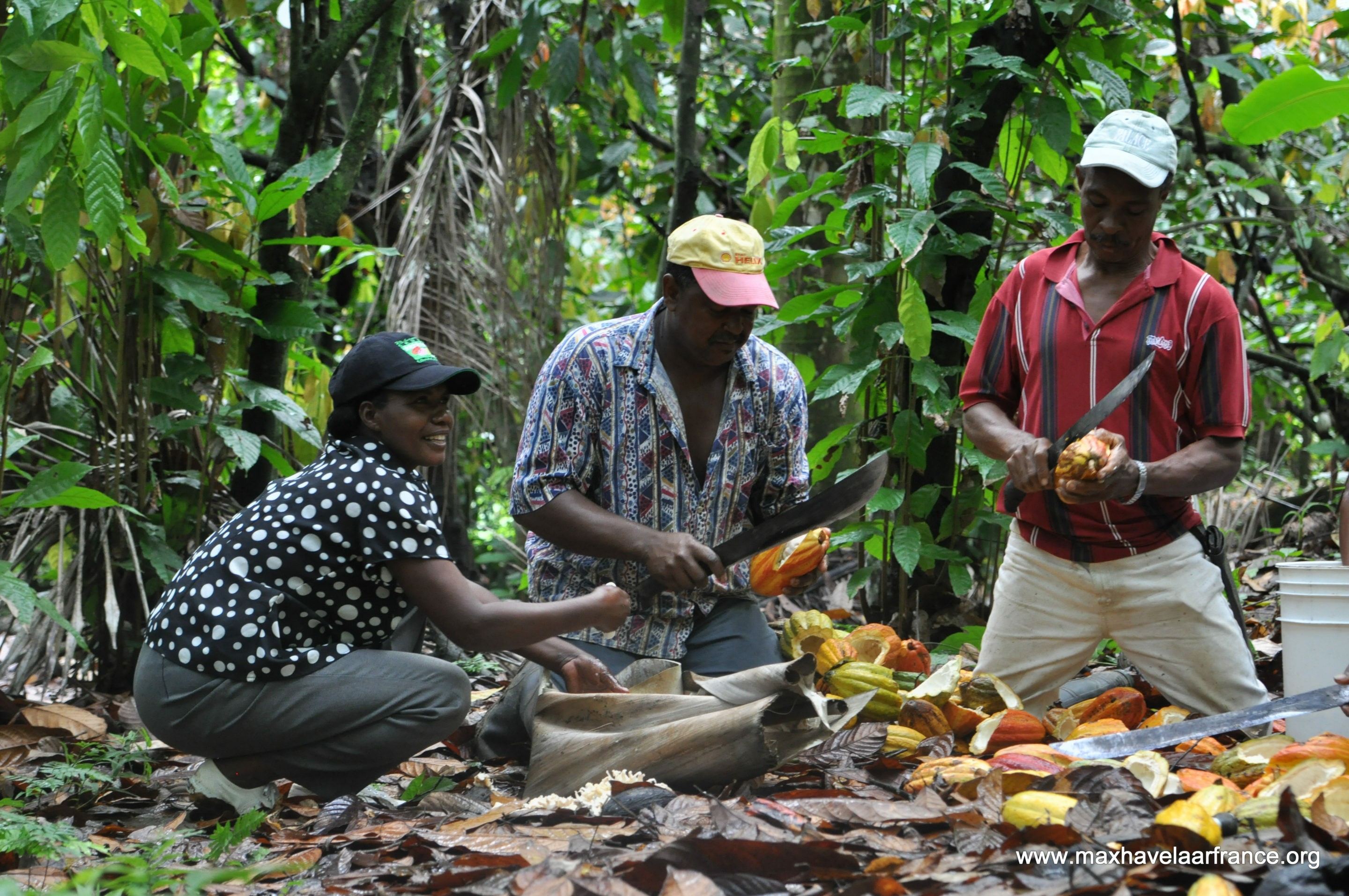 Produttori Fairtrade: CONACADO - Fairtrade