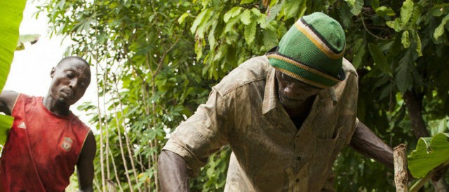 Fairtrade: un reddito dignitoso per gli agricoltori del cacao